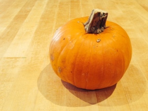 Pick an organic small, pie pumpkin!
